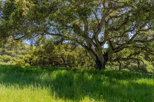 100 Old Stage Rd, San Juan Bautista, CA 95045 - Photo 22