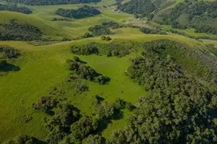 100 Old Stage Rd, San Juan Bautista, CA 95045 - Photo 16