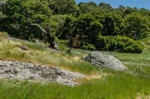 100 Old Stage Rd, San Juan Bautista, CA 95045 - Photo 26