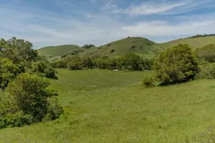 100 Old Stage Rd, San Juan Bautista, CA 95045 - Photo 42