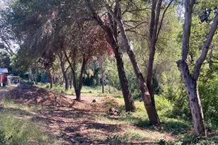 514 Meder St, Santa Cruz, CA 95060 - Photo 14