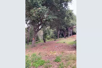 514 Meder St, Santa Cruz, CA 95060 - Photo 2