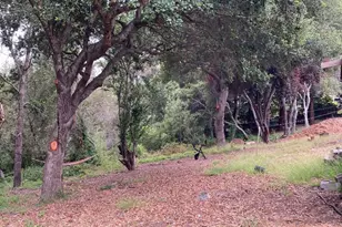 514 Meder St, Santa Cruz, CA 95060 - Photo 2