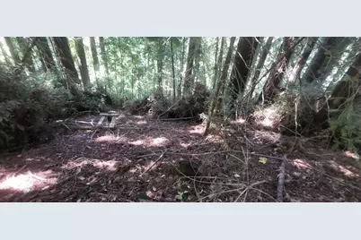 1080 Blue Ridge Dr, Boulder Creek, CA 95006 - Photo 6