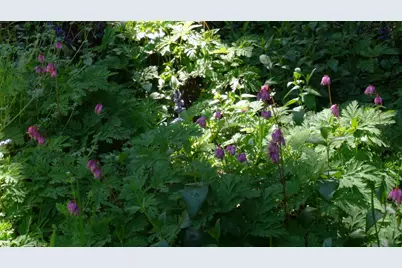 11489 Clear Creek Rd, Brookdale, CA 95007 - Photo 34