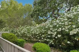 5286 Cribari Heights, San Jose, CA 95135 - Photo 8