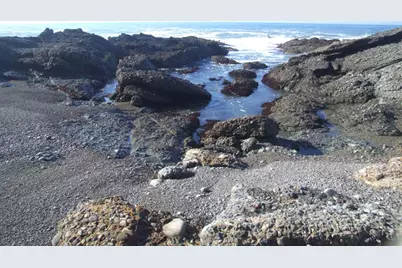 10247 Cabrillo Hwy, Pescadero, CA 94060 - Photo 14