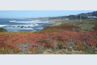 10247 Cabrillo Hwy, Pescadero, CA 94060 - Photo 20