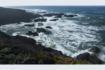 10247 Cabrillo Hwy, Pescadero, CA 94060 - Photo 22