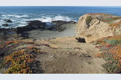 10247 Cabrillo Hwy, Pescadero, CA 94060 - Photo 4