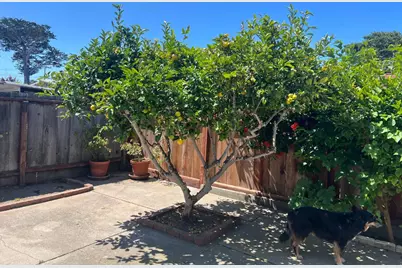 542 English Ave, Monterey, CA 93940 - Photo 10