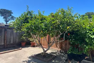 542 English Ave, Monterey, CA 93940 - Photo 10