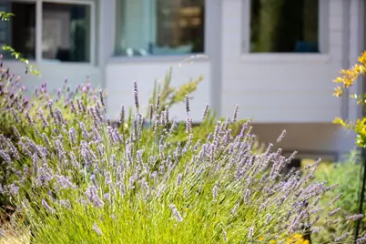 1003 Laurel Glen, Soquel, CA 95073 - Photo 70