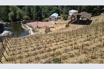 1003 Laurel Glen, Soquel, CA 95073 - Photo 10