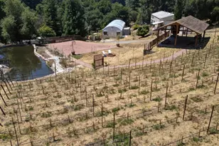 1003 Laurel Glen, Soquel, CA 95073 - Photo 10