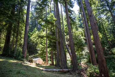 1003 Laurel Glen, Soquel, CA 95073 - Photo 72