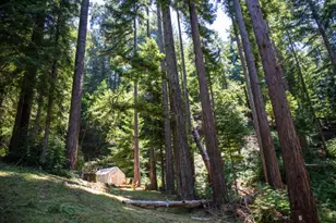 1003 Laurel Glen, Soquel, CA 95073 - Photo 72