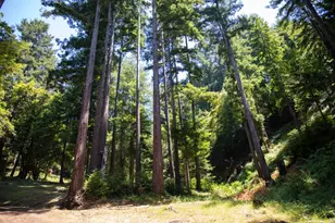 1003 Laurel Glen, Soquel, CA 95073 - Photo 82