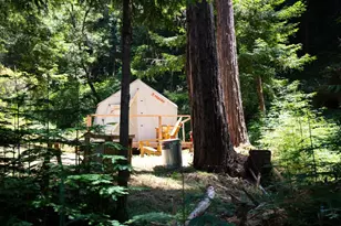 1003 Laurel Glen, Soquel, CA 95073 - Photo 74