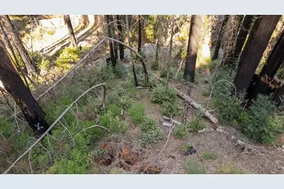 Lot 04 Boulder Brook Dr, Boulder Creek, CA 95006 - Photo 4