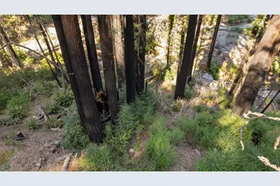 Lot 04 Boulder Brook Dr, Boulder Creek, CA 95006 - Photo 6