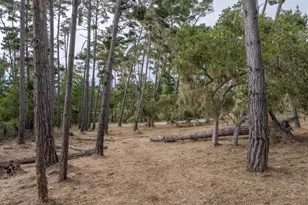 1070 Spyglass Woods Dr, Pebble Beach, CA 93953 - Photo 6