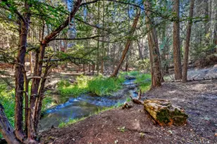 35425 Stonewall Dr, Shingletown, CA 96088 - Photo 66