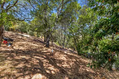 00 S Palomar Dr, Redwood City, CA 94062 - Photo 6