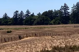 222 Highview Dr, Santa Cruz, CA 95060 - Photo 4