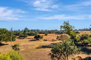 222 Highview Dr, Santa Cruz, CA 95060 - Photo 14