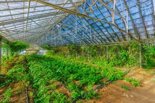 371 Calabasas Rd, Watsonville, CA 95076 - Photo 34