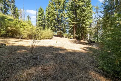 2472 Fanning Grade, Ben Lomond, CA 95005 - Photo 8
