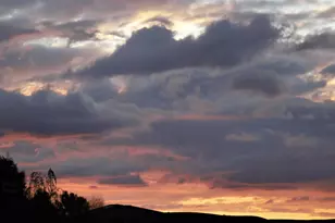 4116 Ashford Cir, Hollister, CA 95023 - Photo 82