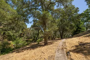 333 Raymundo Dr, Woodside, CA 94062 - Photo 66