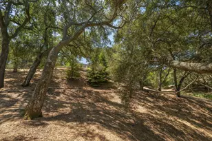 333 Raymundo Dr, Woodside, CA 94062 - Photo 68