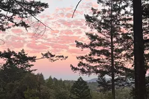 19156 Old Vineyard Rd, Los Gatos, CA 95033 - Photo 64