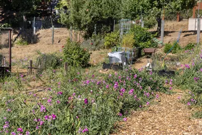 19156 Old Vineyard Rd, Los Gatos, CA 95033 - Photo 60