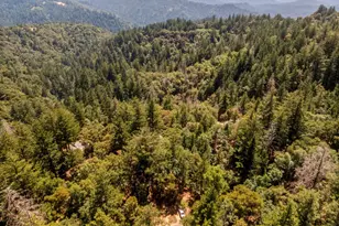 19156 Old Vineyard Rd, Los Gatos, CA 95033 - Photo 42