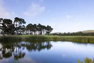 31 Poppy Ln., Pebble Beach, CA 93953 - Photo 48