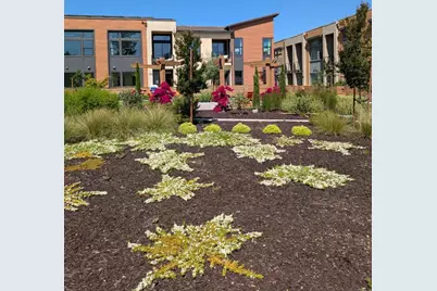 11210 Cottonwood Pl 35-08 Plan 4, Saratoga, CA 95070 - Photo 4