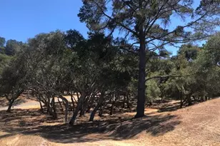 7735 Paseo Venado (Lot 82), Monterey, CA 93940 - Photo 1