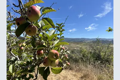 0 Sans Rd, Corralitos, CA 95076 - Photo 40