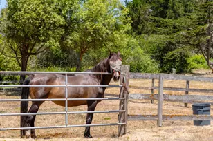 515 Bean Hollow Rd, Pescadero, CA 94060 - Photo 12