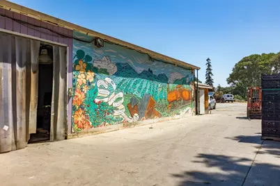 250 Old Chittenden Rd, Watsonville, CA 95076 - Photo 24