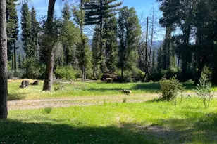 500 Wildberry Dr, Boulder Creek, CA 95006 - Photo 1