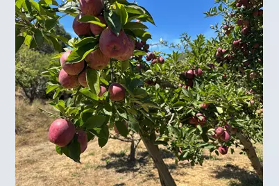 0 Sans Rd, Corralitos, CA 95076 - Photo 4