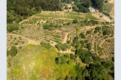 0 Sans Rd, Corralitos, CA 95076 - Photo 16