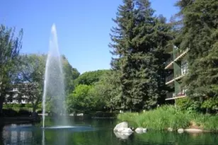 932 Peninsula Ave 406, San Mateo, CA 94401 - Photo 36