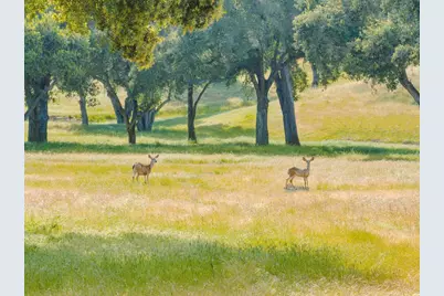 770 Limekiln Rd, Hollister, CA 95023 - Photo 22