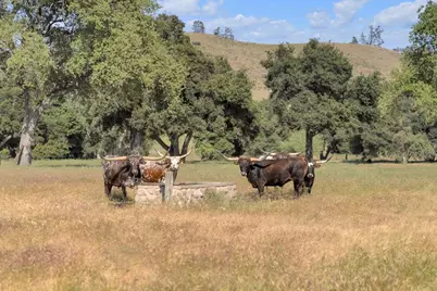 770 Limekiln Rd, Hollister, CA 95023 - Photo 26